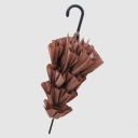 Lanzetti, -, can can-7